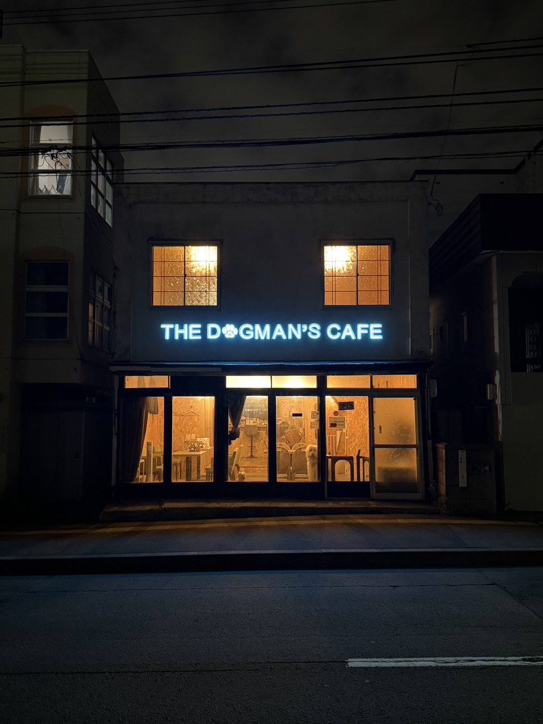 THE DOGMAN'S CAFEの店内で過ごす看板犬