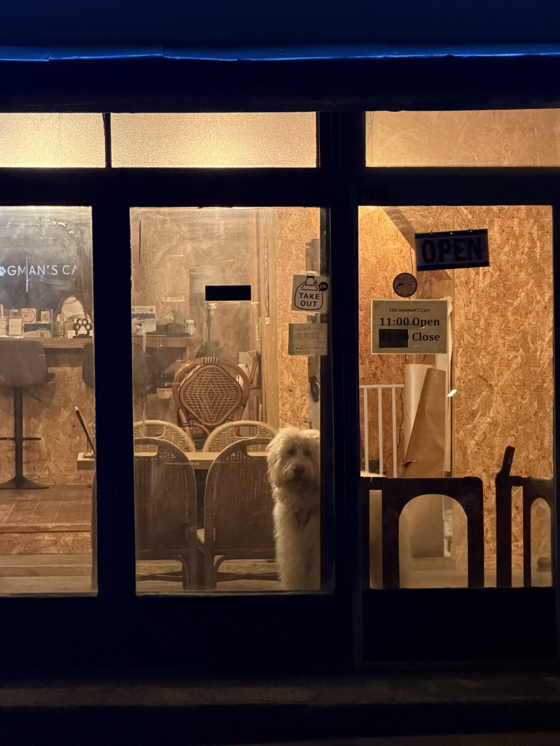 THE DOGMAN'S CAFEの青いネオンサイン