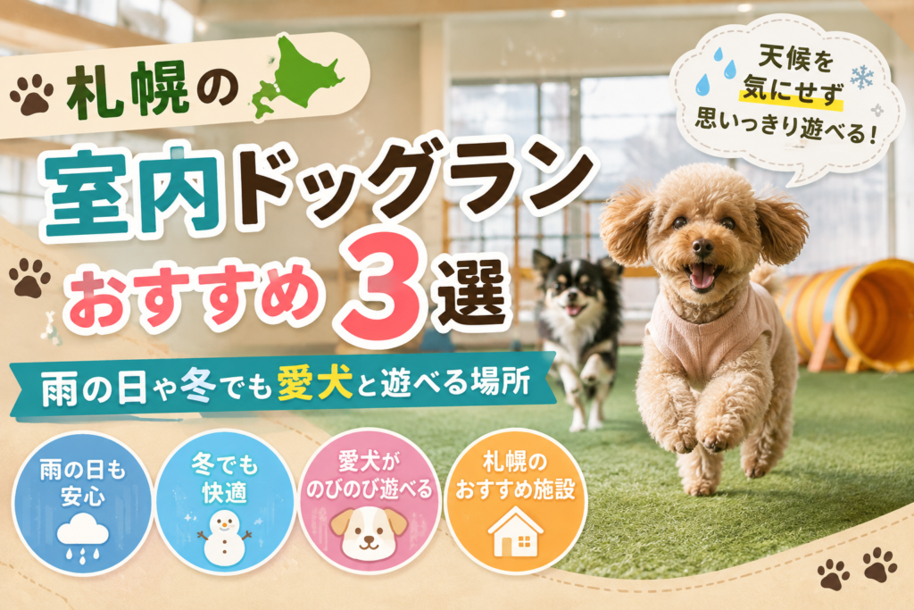 室内ドッグラン