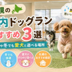 室内ドッグラン