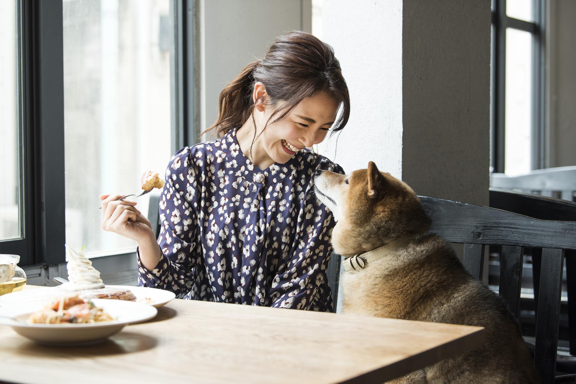 犬と一緒に食事をするときの困りごと