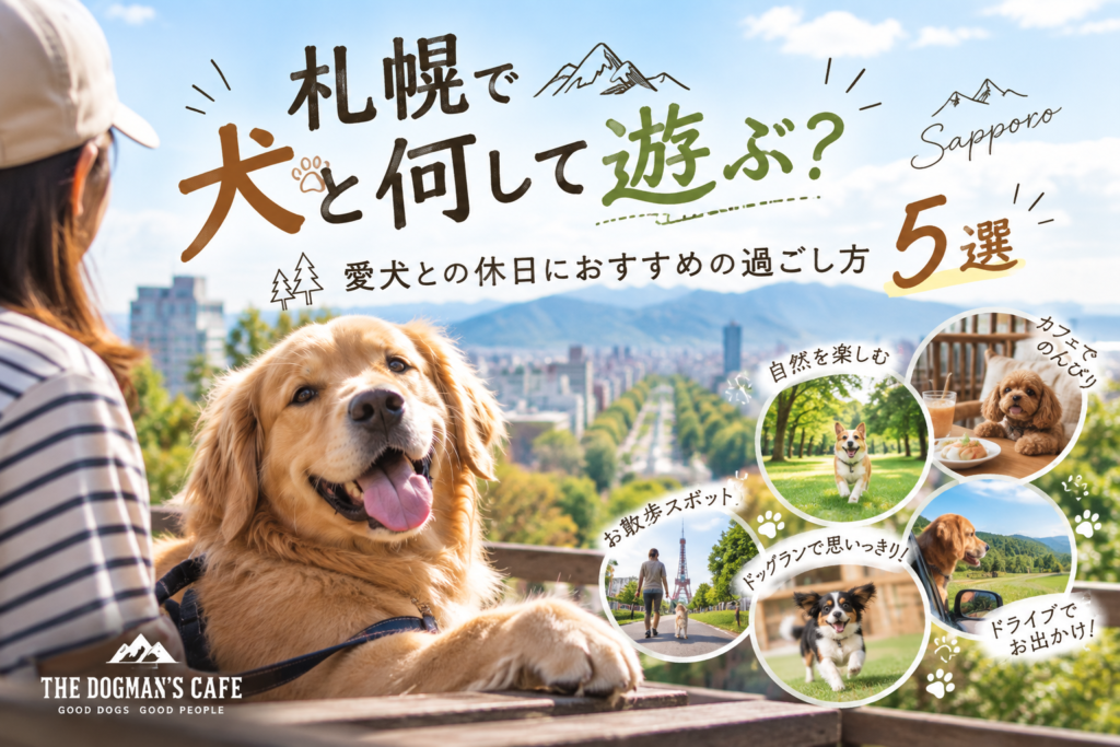 札幌で犬と楽しむ休日ガイド
