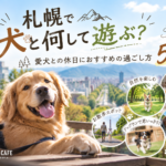 札幌で犬と楽しむ休日ガイド