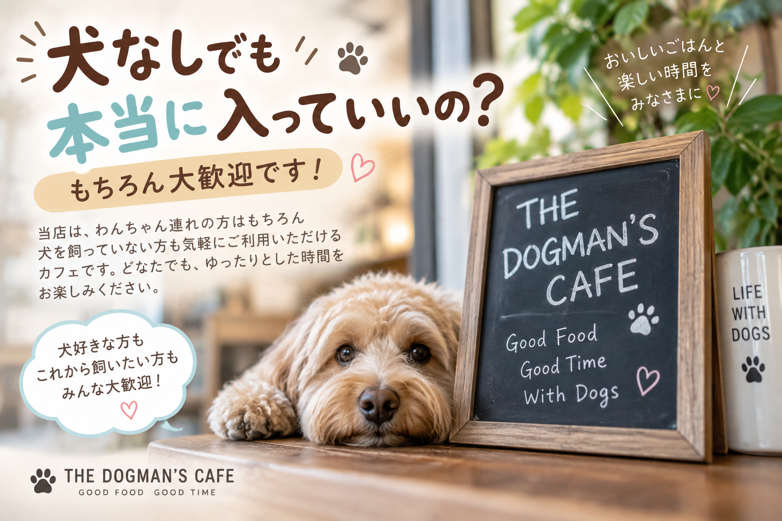 初めて犬なしで来るなら