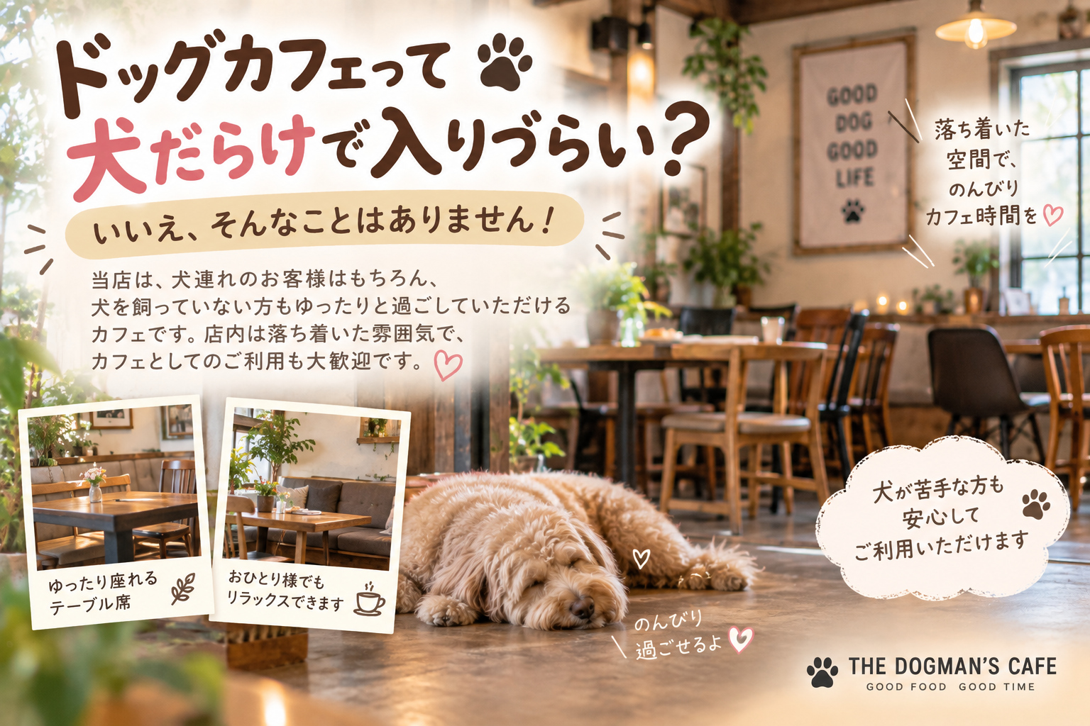 ドッグカフェって犬だらけで入りづらい？